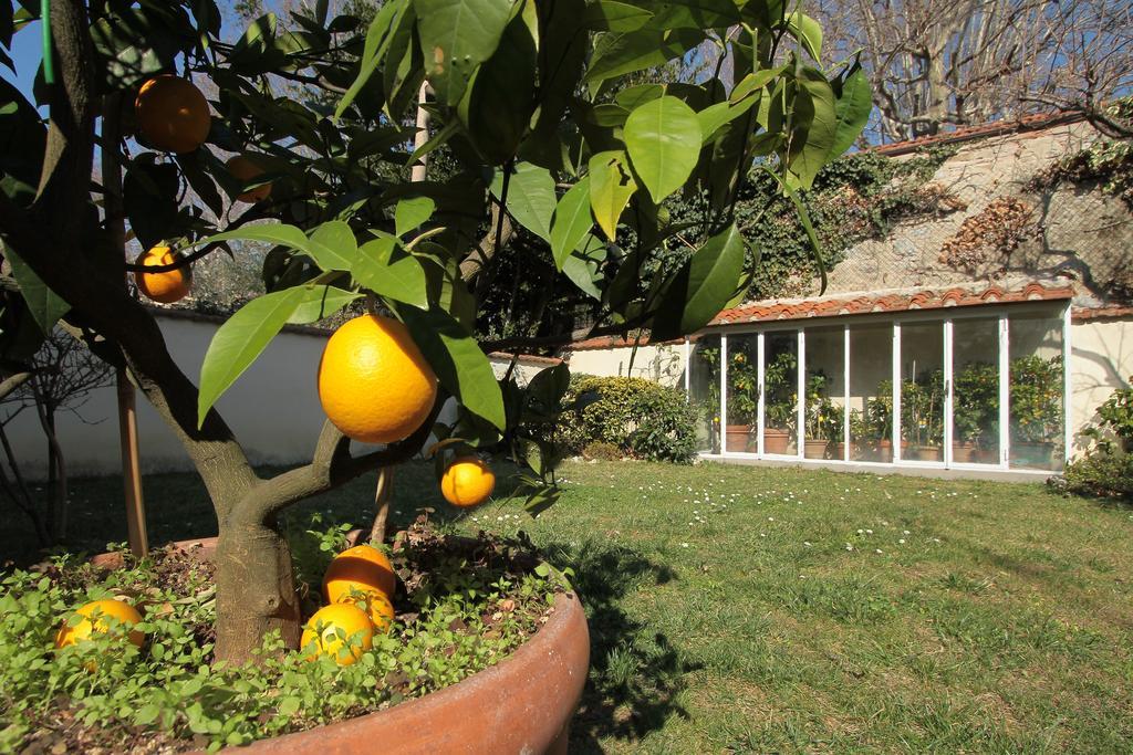 Il Diospero B&B Firenze Kültér fotó